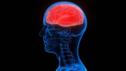 ¿Puede Sanar un Cerebro Dañado?
