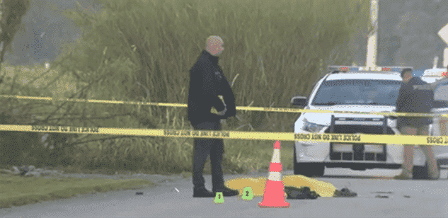 Hombre Muerto En Accidente de Golpe y Huida en Krome Avenue