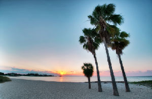 Davie Florida