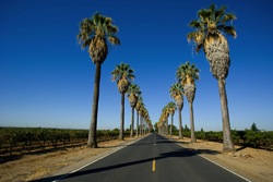 Personal Injury Lawyer in Hollywood, FL Anidjar \u0026 Levine Personal Injury Lawyer in Hollywood, FL Anidjar \u0026 Levine
