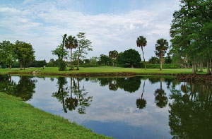 Tamarac