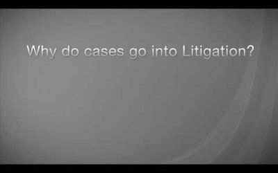 why do cases go into litigation