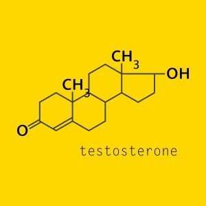 testosterone molecule