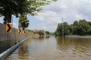 If you live in North Miami, you are likely no stranger to the damage they can cause.