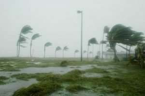 When a hurricane damages your property, you have the right to file a claim and receive compensation for your repairs and other storm-related expenses.