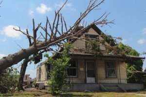 tree fallen on home