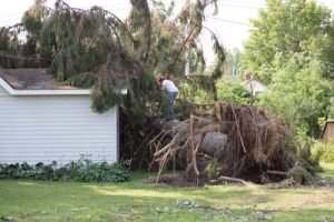 fallen tree on home
