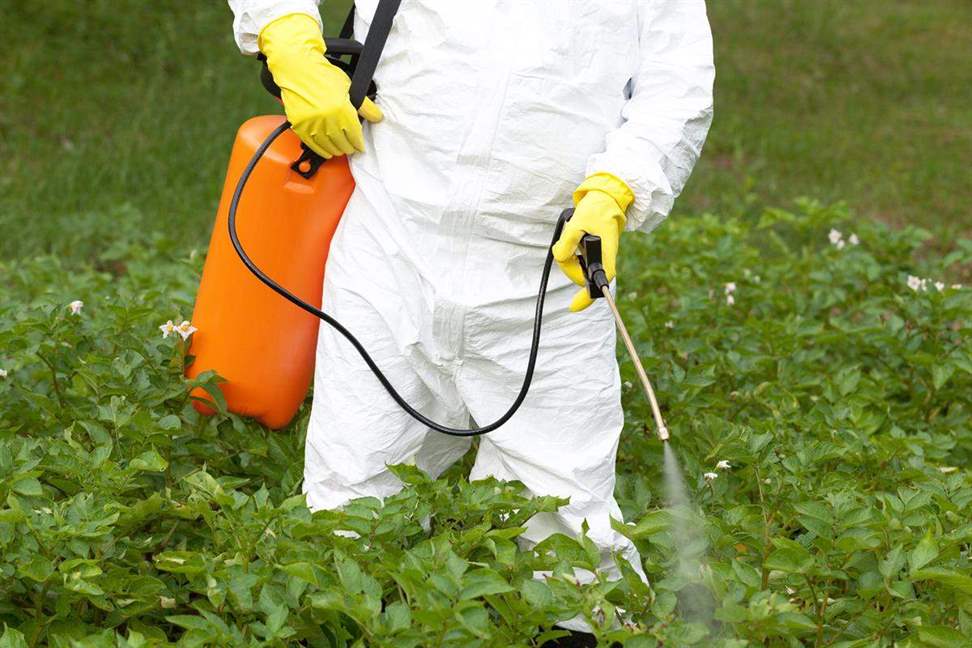 Roundup Weed Killer Lawsuit Lawyer No Win, No Fee. Available 24/7