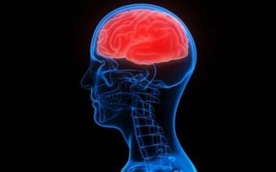Can You Heal a Damaged Brain?