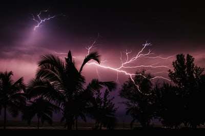 What Insurance Covers Trees Struck by Lightning?
