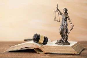 Professional regulations lawyer Florida bar disciplinary defense lawyer