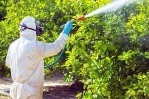 How do You Protect Yourself from Roundup?