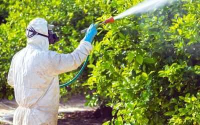 How Do You Protect Yourself From Roundup