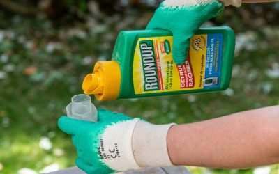 Gardener using Roundup herbicide