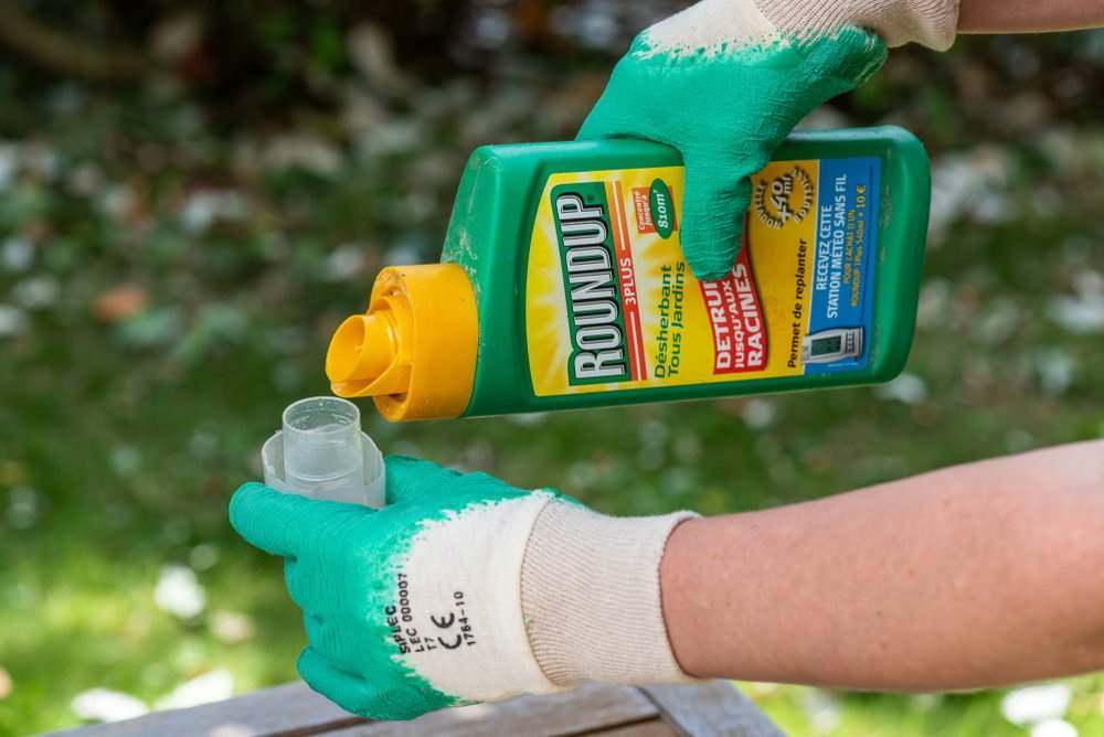 Gardener using Roundup herbicide