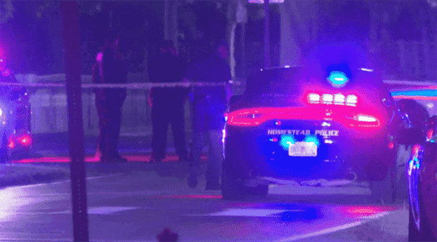 5-Year-Old Boy Killed In Homestead Hit-And-Run