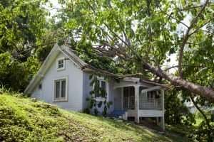 Florida - storm damage insurance claim process