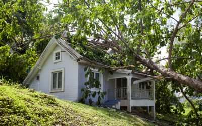 storm damage insurance claim process