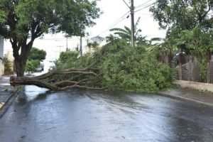 Jacksonville, FL - Tropical Storm Property Claim Lawyer