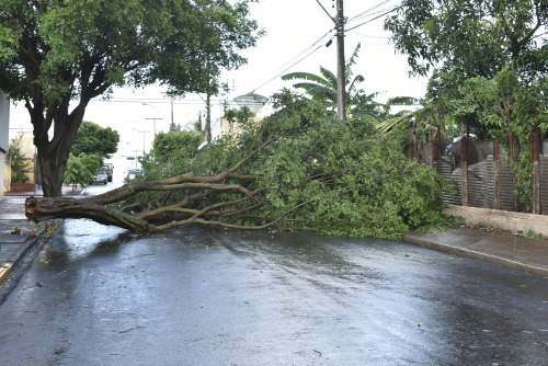 Jacksonville Tropical Storm Property Claim Lawyer