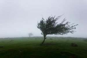 Naples, FL - Wind Damage Storm Property Claim Lawyer
