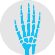Shoulder Icon