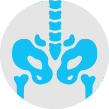 Shoulder Icon