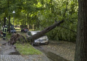 St. Petersburg Hurricane Claims
