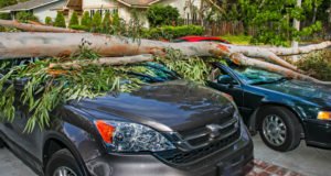 The Acreage Hurricane Claims