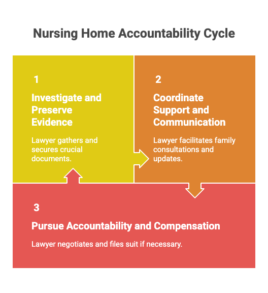Nursing Home Accountability Cycle