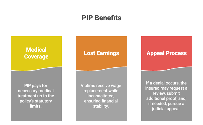 Derechos Legales de las Víctimas de Lesiones Personales (PIP) en Jacksonville