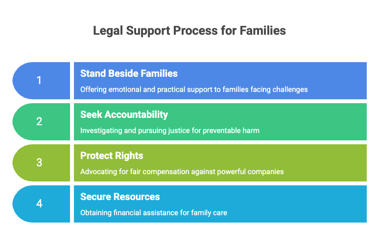 Proceso de Apoyo Legal para Familias