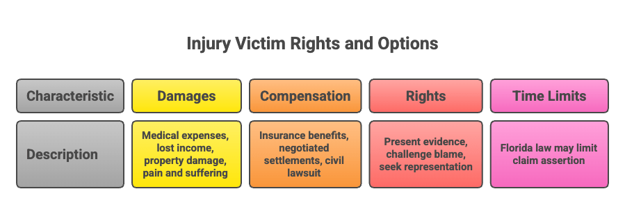 Legal Rights of Fort Myers Car Accident Evidence Injury Victims